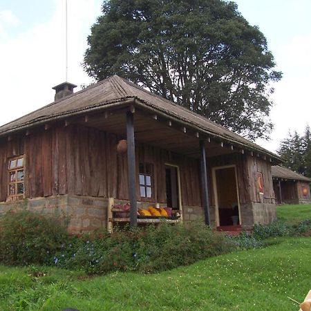 Castle Forest LodgeMount Kenya National Park エクステリア 写真