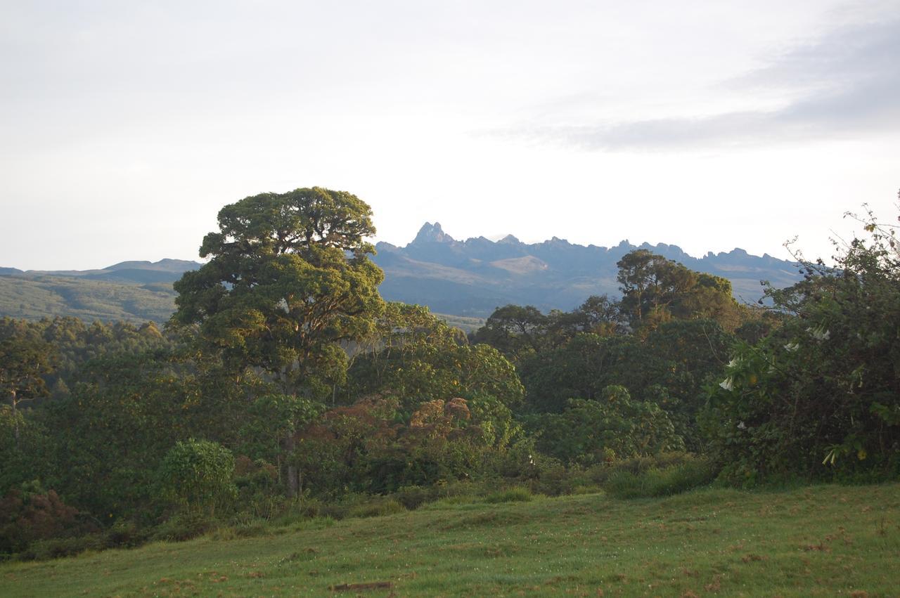 Castle Forest LodgeMount Kenya National Park エクステリア 写真