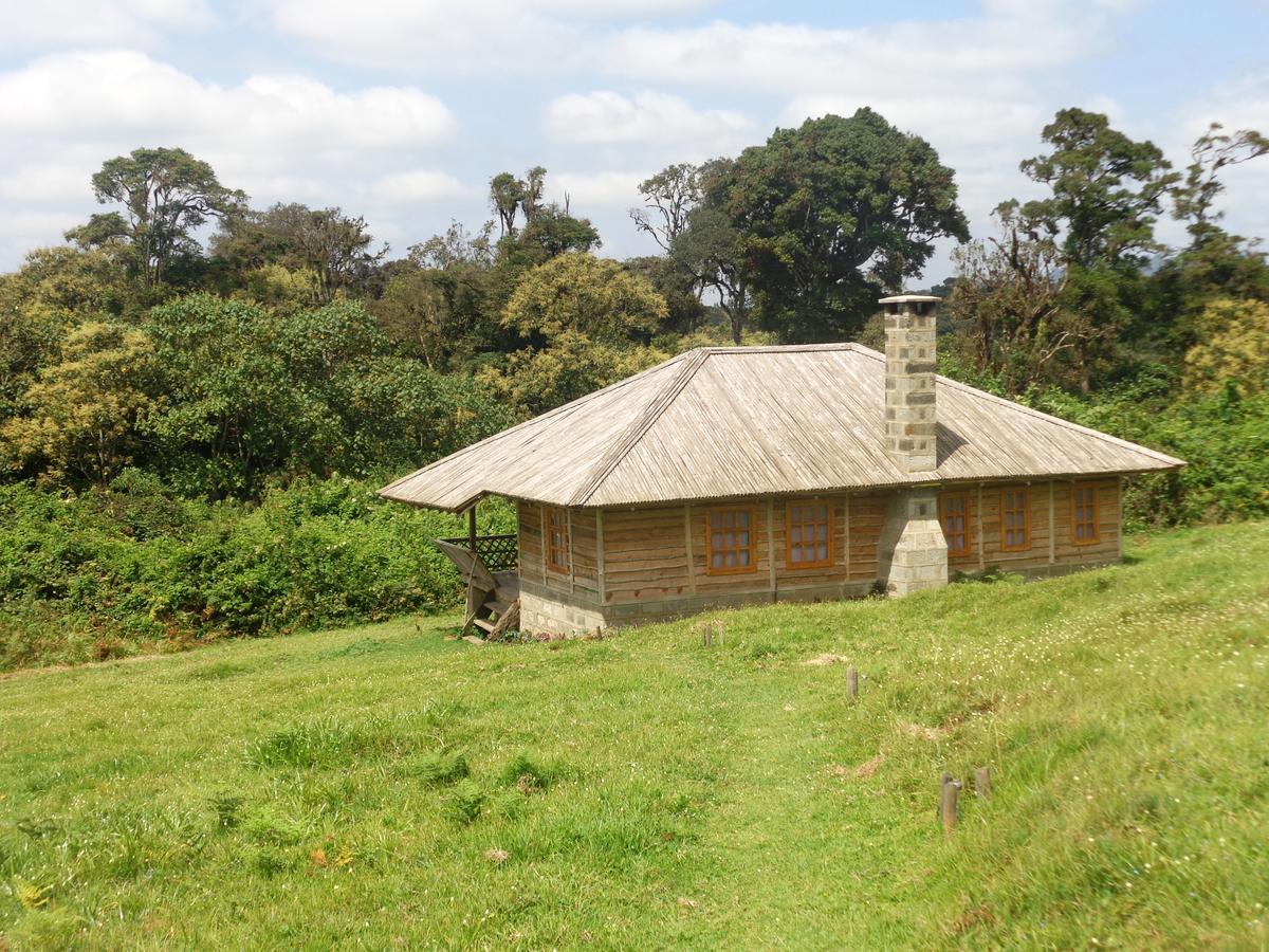 Castle Forest LodgeMount Kenya National Park エクステリア 写真
